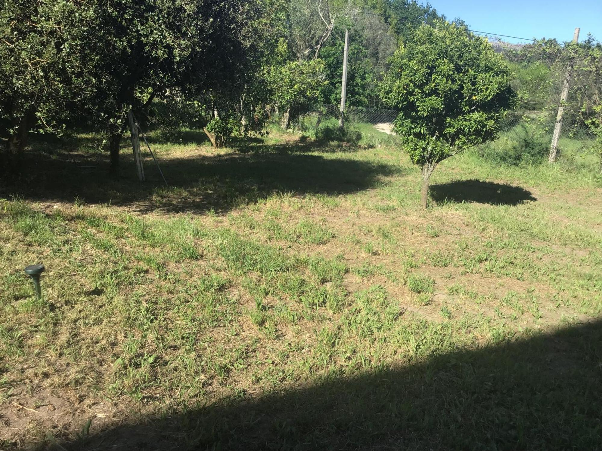 ファフェ Quinta Dos Trilhosヴィラ エクステリア 写真